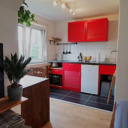 Kleines Studio Am Uni-Campus - Perfekt Fuer Junge Unternehmungslustige เดรสเดน ภายนอก รูปภาพ